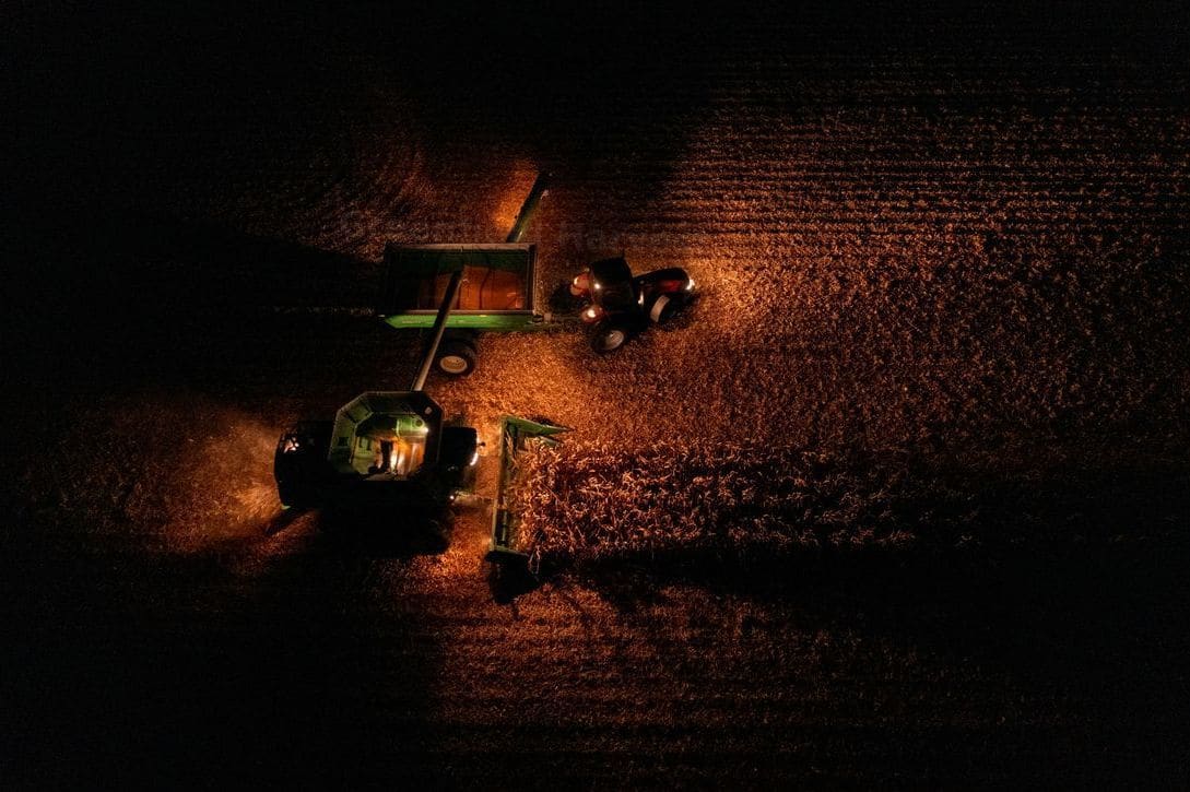 Greenfield Harvest 12