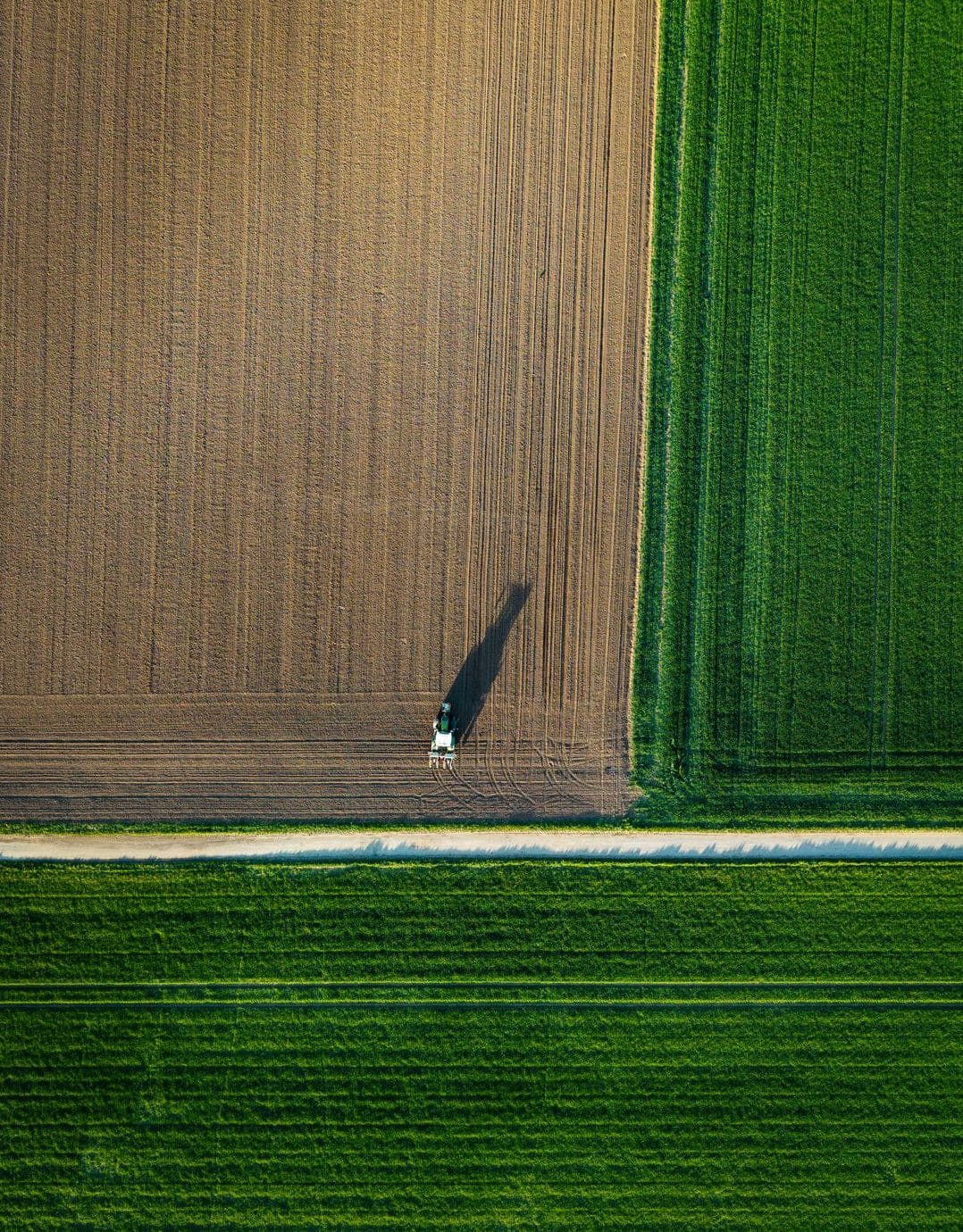 Greenfield Harvest 5