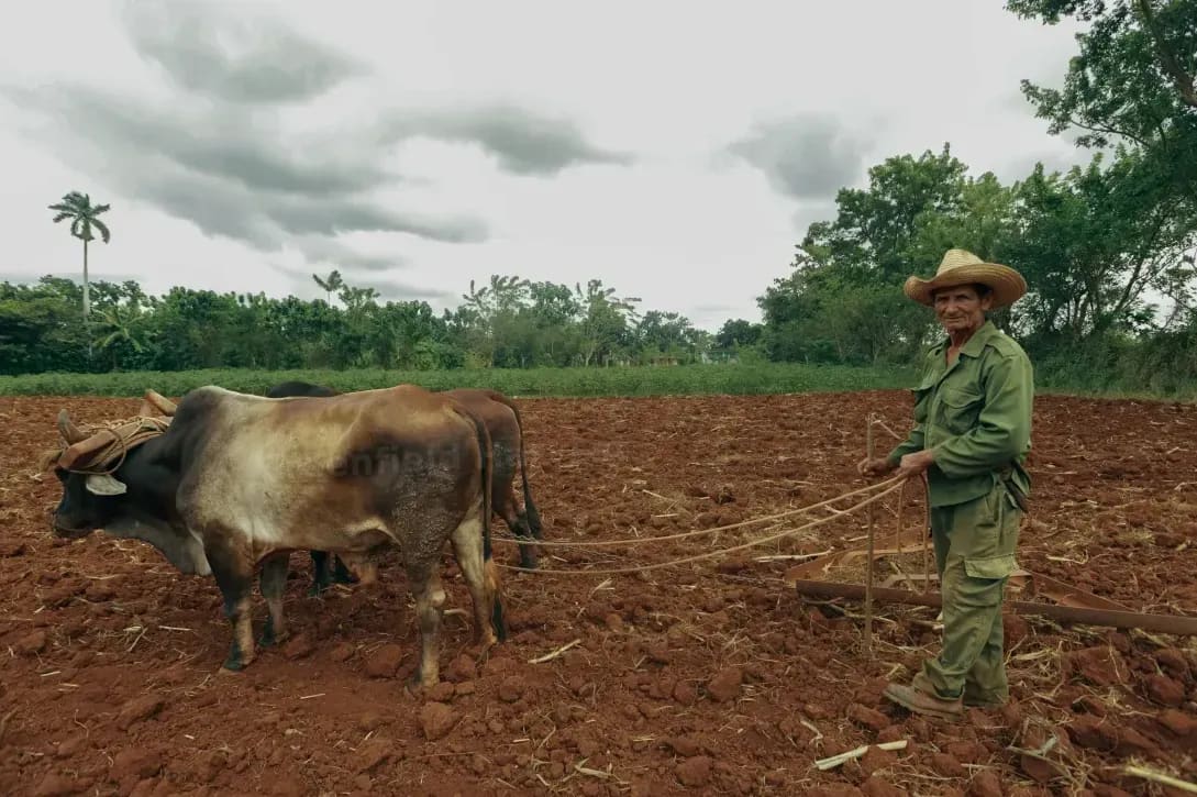 Soil testing and nutrient management