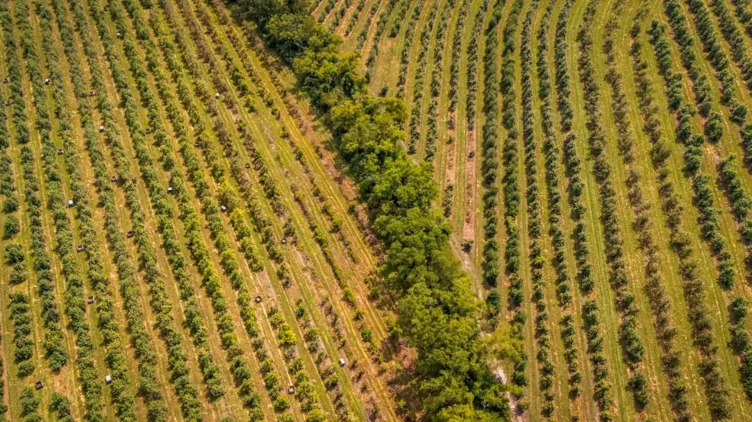 Land and pasture maintenance
